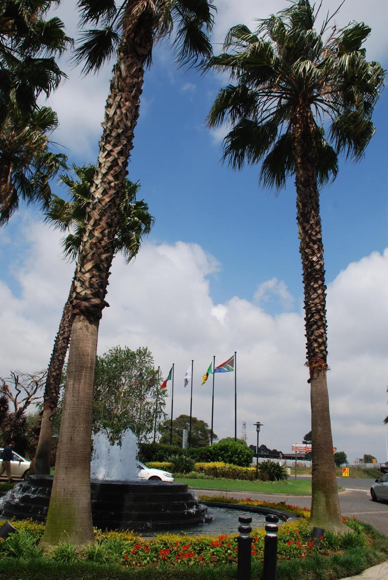 Southern Sun Or Tambo International Airport Kempton Park Exterior photo Welcome to Port Elizabeth